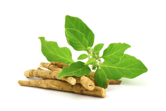 An isolated ingredient image of Ashwagandha