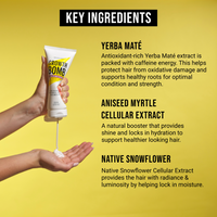 A 175 ML tube of the 10 Minute Miracle Mask is held as lotion is squeezed out, with a yellow background highlighting key ingredients like Yerba Maté and Aniseed Myrtle Cellular Extract, known for deeply hydrating and enhancing hair health.