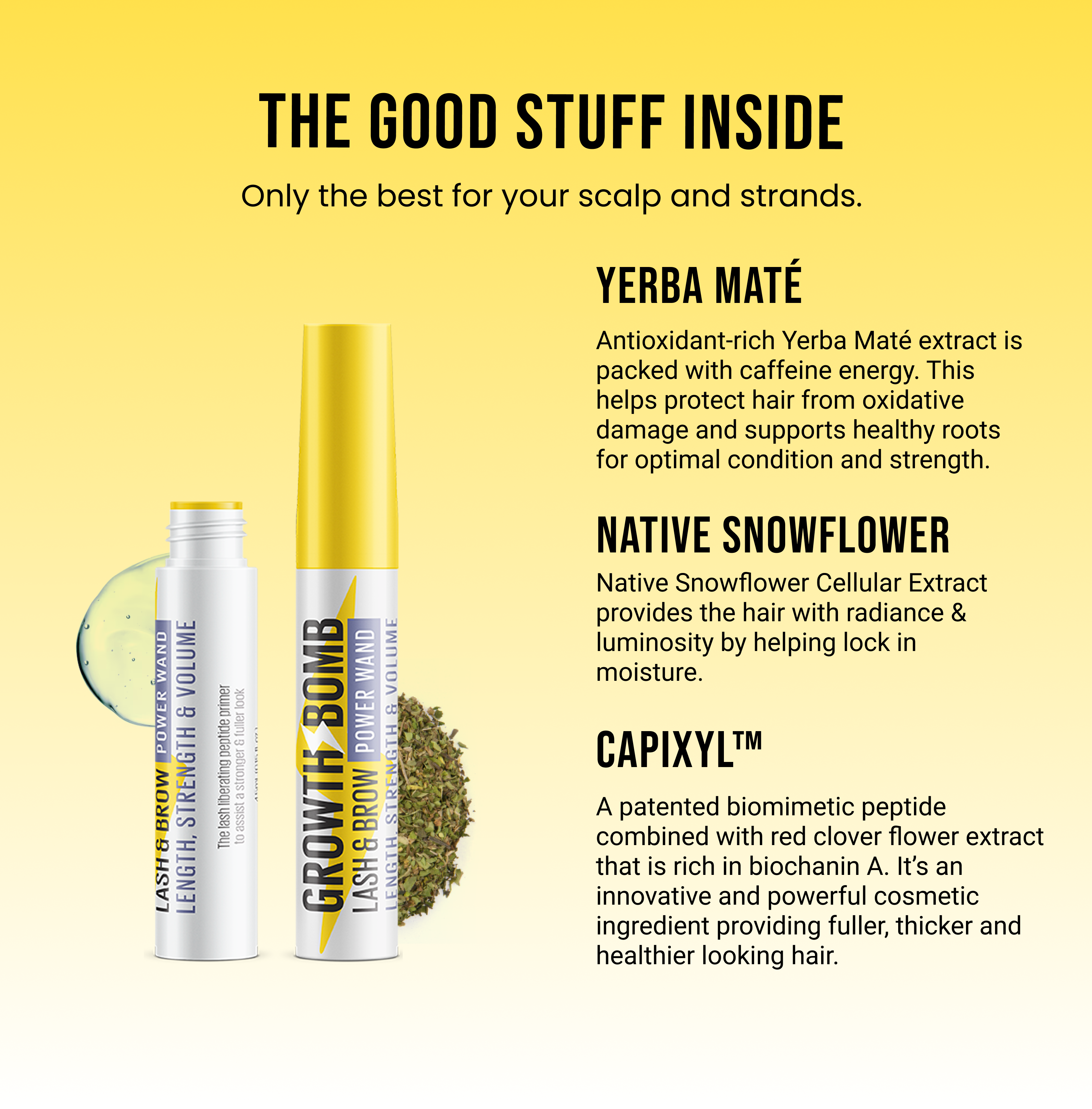 Lash & Brow Power Wand – Growth Bomb US